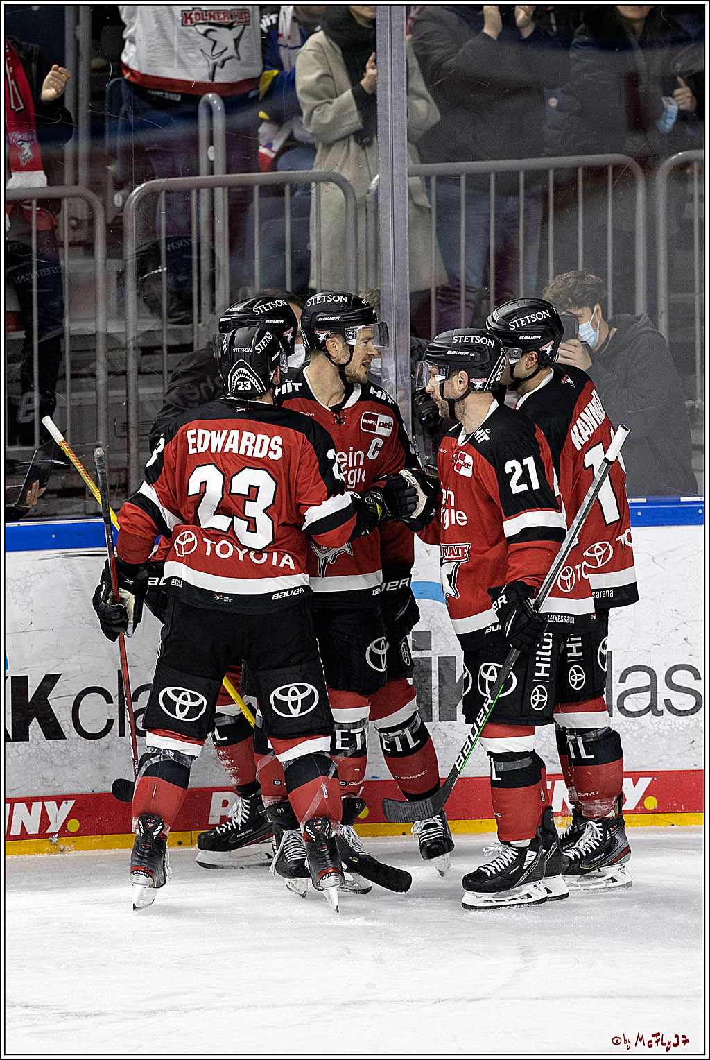 PENNY DEL;  Koelner Haie - Bietigheim Steelers; Koeln, 19.11.2021